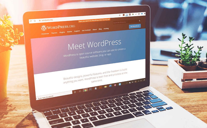 Hướng dẫn thiết kế website wordpress chi tiết từ A đến Z - ANTU Services